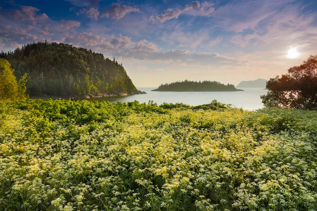 Parc national du Bic