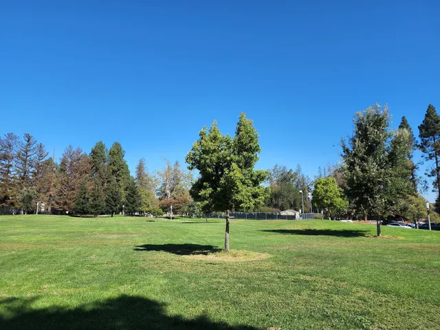 Tennis Courts | Serra Park