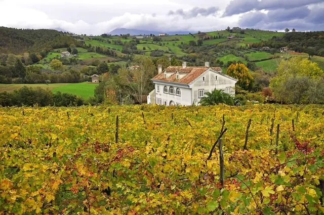 Ale.p.a. società agricola s.r.l. - azienda vitivinicola