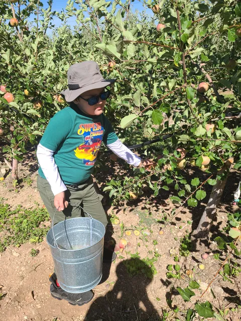 Mountain Farms Fruit Stand