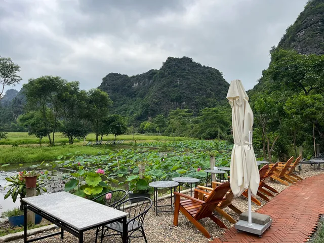 Forest Sunset Bar & Restaurant