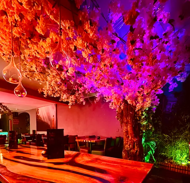 Neko Asian Street Food