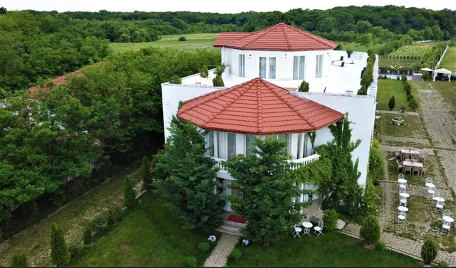 YOUness WELLness Clinic & Retreat