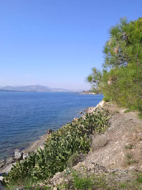 Argonautes Winter Swimmers Club