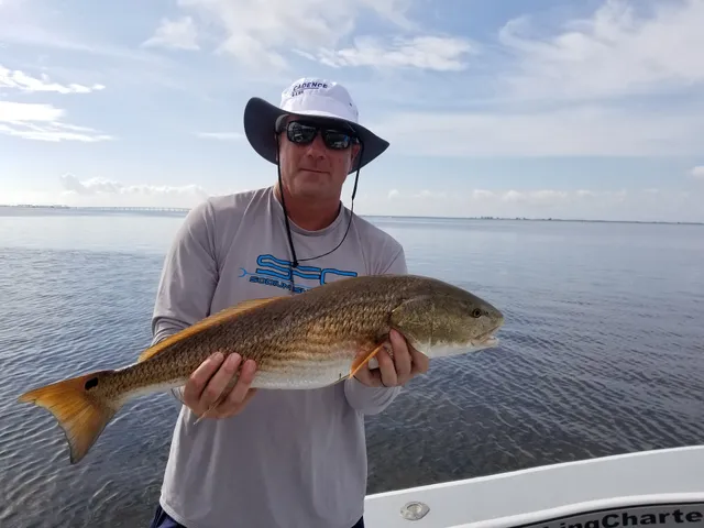 Bay Area Fishing Charters w/ Captain John Gordon