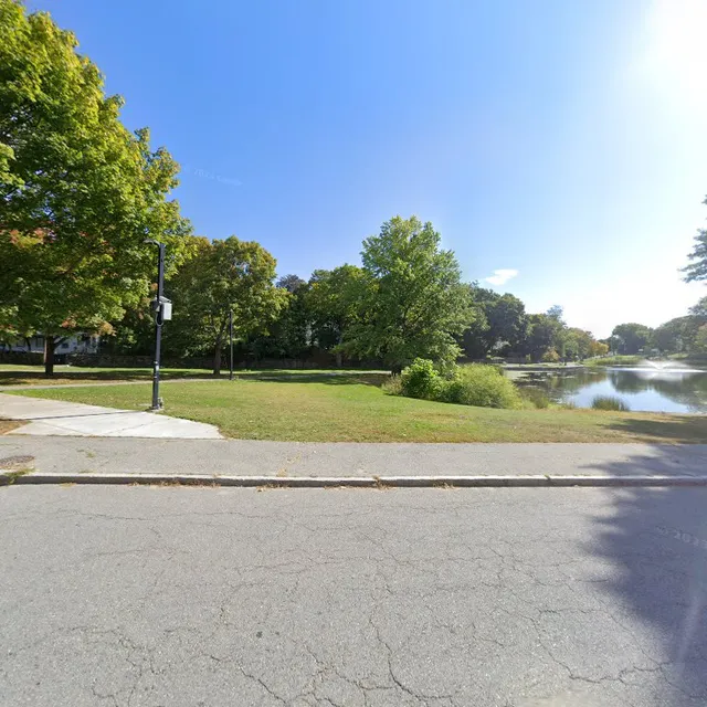 The Guinea Pig Gals Cafe