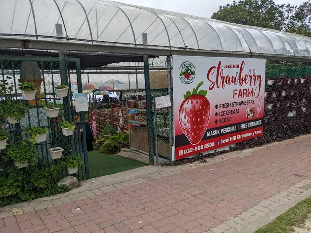 Jerai Strawberry Farm