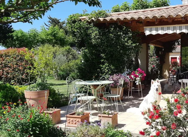 The Fenière to Swallows