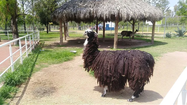Zoológico de Rodolfo Landeros