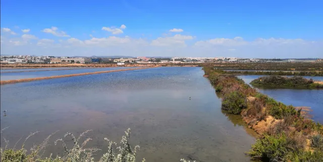 Tavira's Salt pans