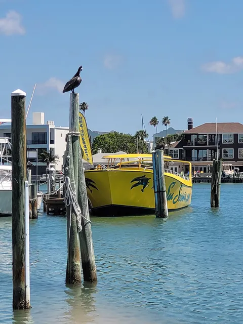Sea Screamer of Clearwater