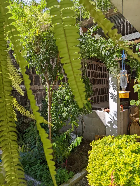 Casa LLEMO & LAUNDRY Service