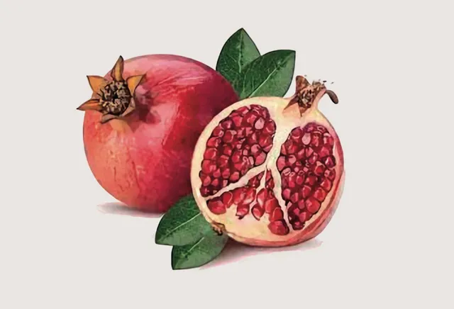 The Pomegranate Cafe