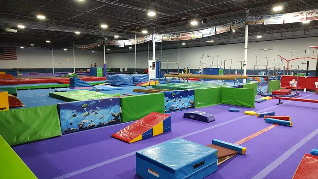 Virginia Techniques Gymnastics