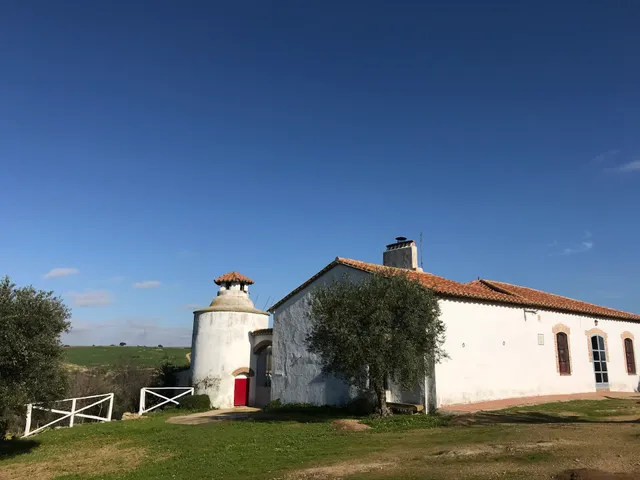Cortijo Viña del Duco - Azuaga - BA0058
