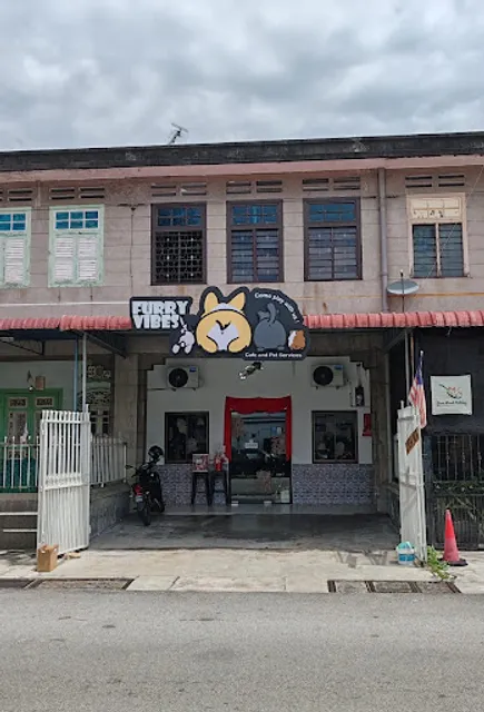 Furry Vibes (Pet Cafe and pet services)
