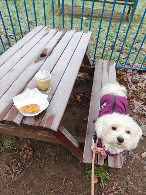 Courtside at Cutteslowe