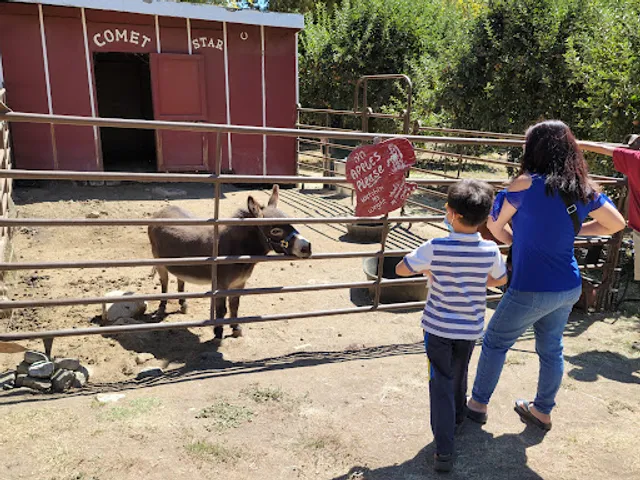 Willowbrook Apple Farm