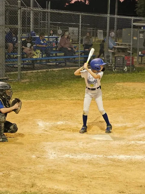 Shepherd Softball Fields Little League