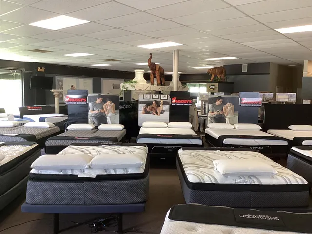 Snuggy's Mattress Express