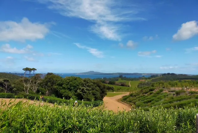 Waiheke Freedom Tours