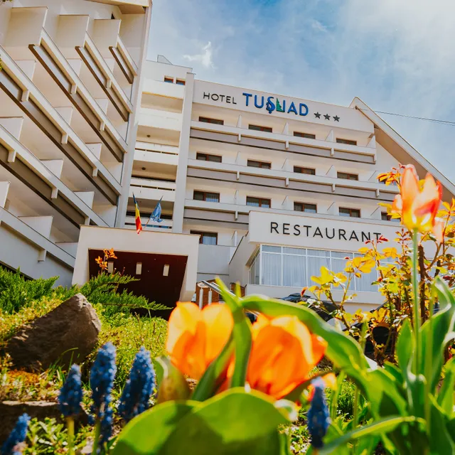 Hotel Tușnad