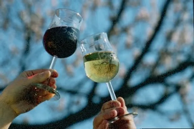 Weingut Becker GbR Rohrbach / Pfalz