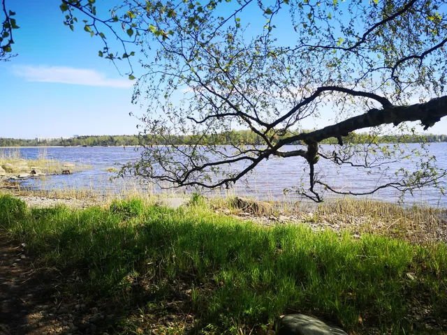 Lammassaari Nature Boardwalk
