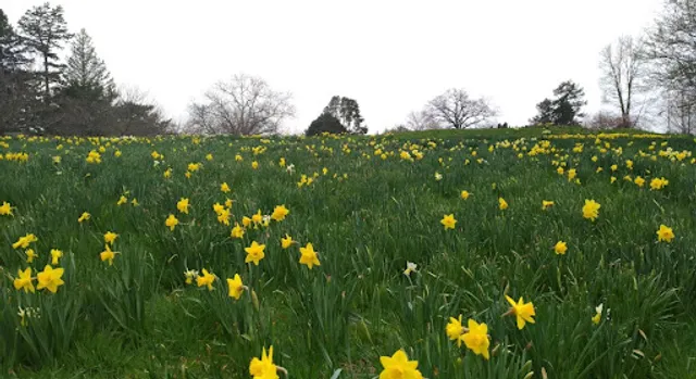 Everett Garden Gate, NYBG