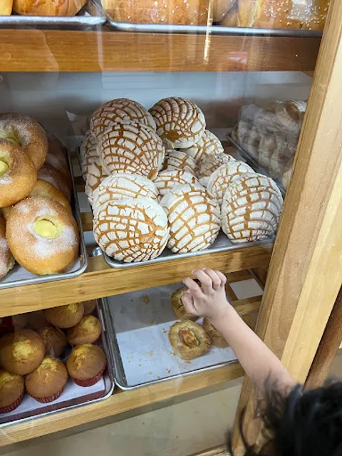 Bakery Latino