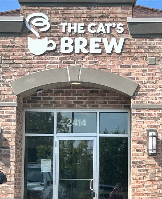 The Cat’s Brew