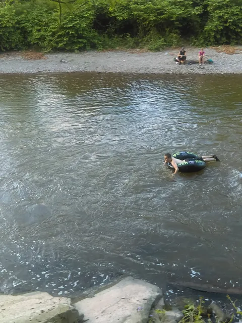 West Branch Delaware River