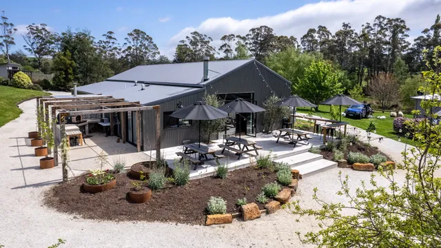 Meander Valley Vineyard