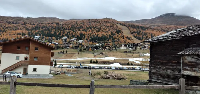 Blue Moon Apartments