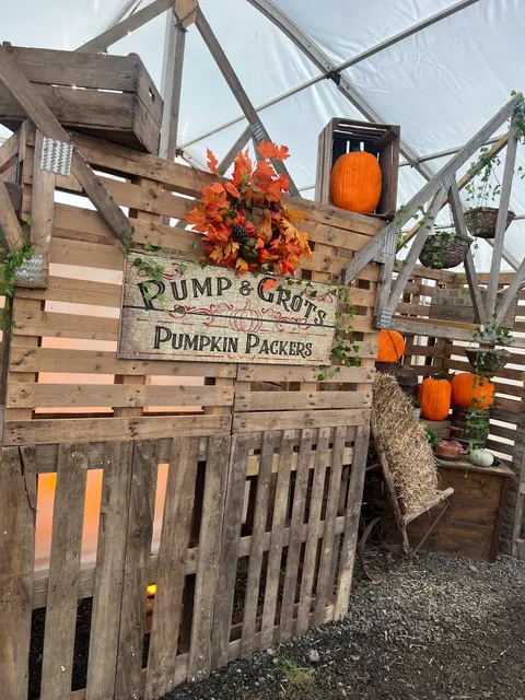 Tulleys Pumpkin Festival