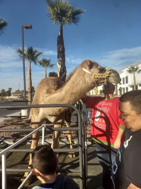 Safari Business Park