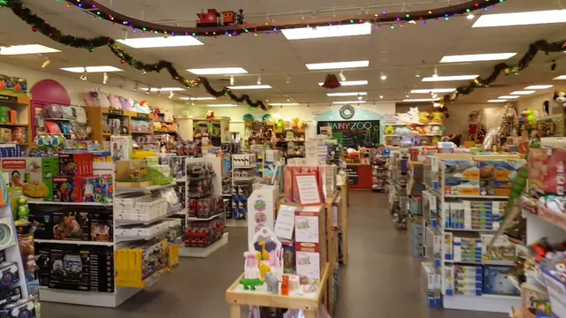 BrainyZoo Toys In The Folsom Premium Outlets