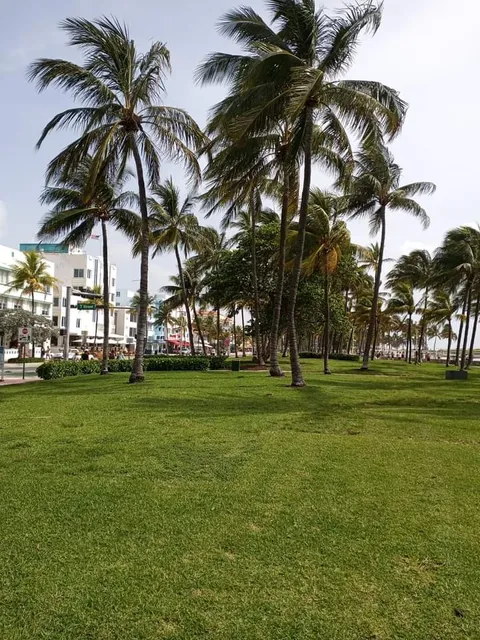 Miami Beach Parking Lot