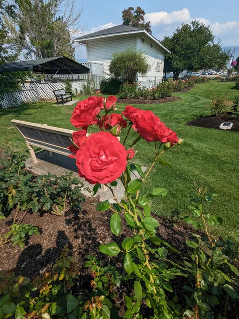 Penticton Rose Garden