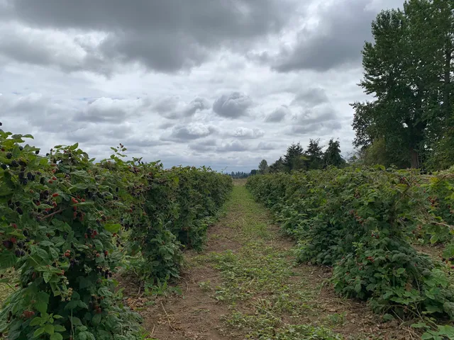 The Schmid Family Farm