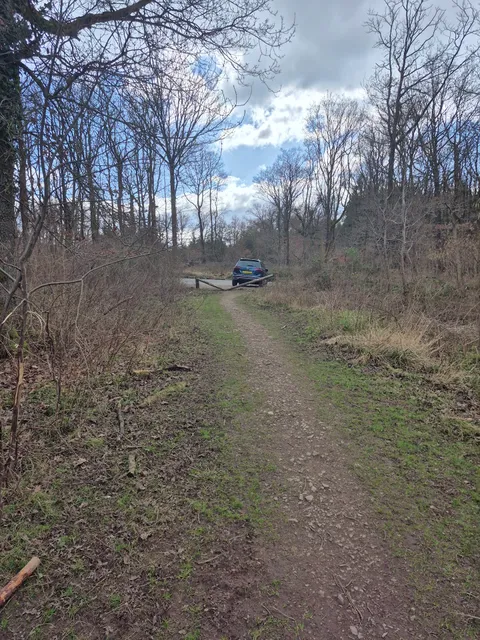 Haugh Wood Butterfly Trail