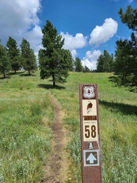 Pactola Reservoir Campground
