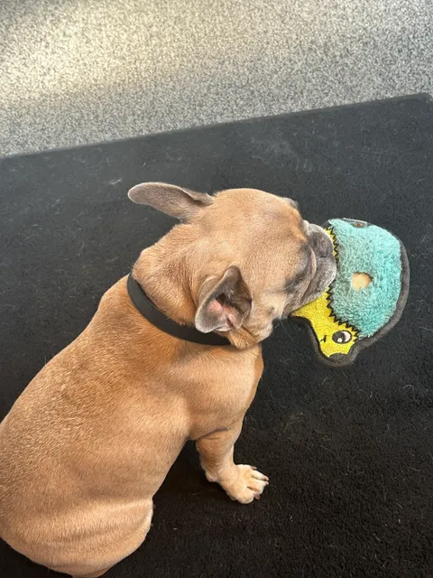 Michele's Salon & Day Spa