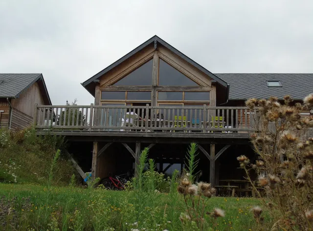 L’arbre aux étoiles