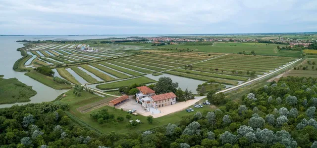 Tenuta Valle Ca' del Lovo