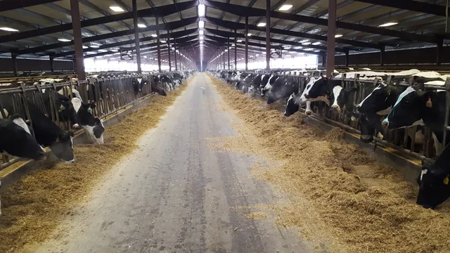 Tuls Dairy Butler County LLC