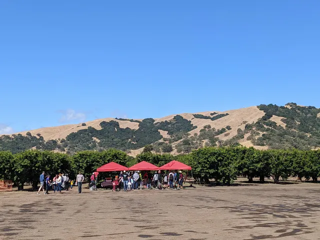 U Pick Orchards (Ranch 4)