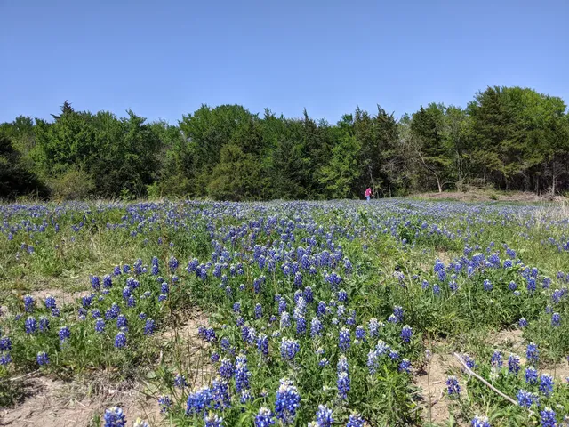 Veterans Memorial Park