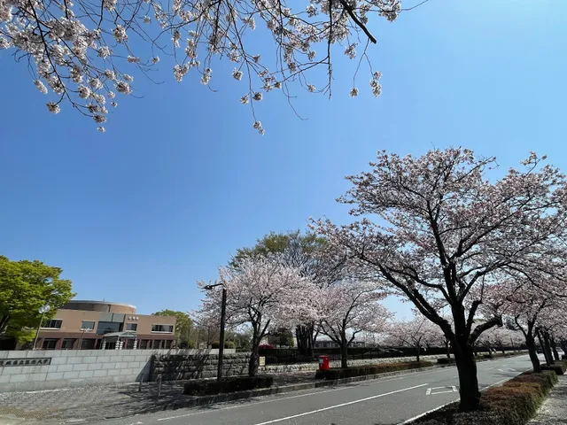 Ibaraki Prefectural University of Health Sciences