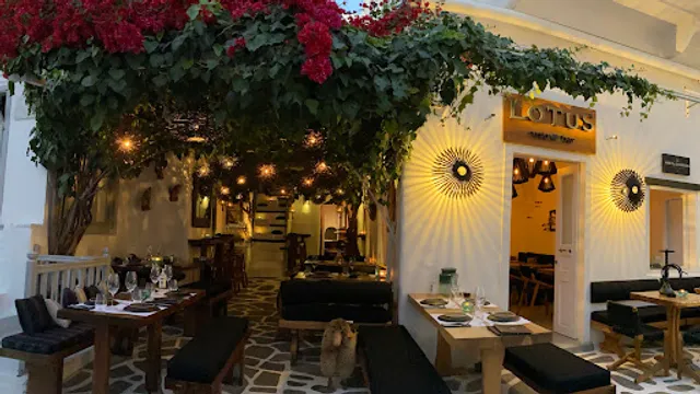 Lotus Resto Bar